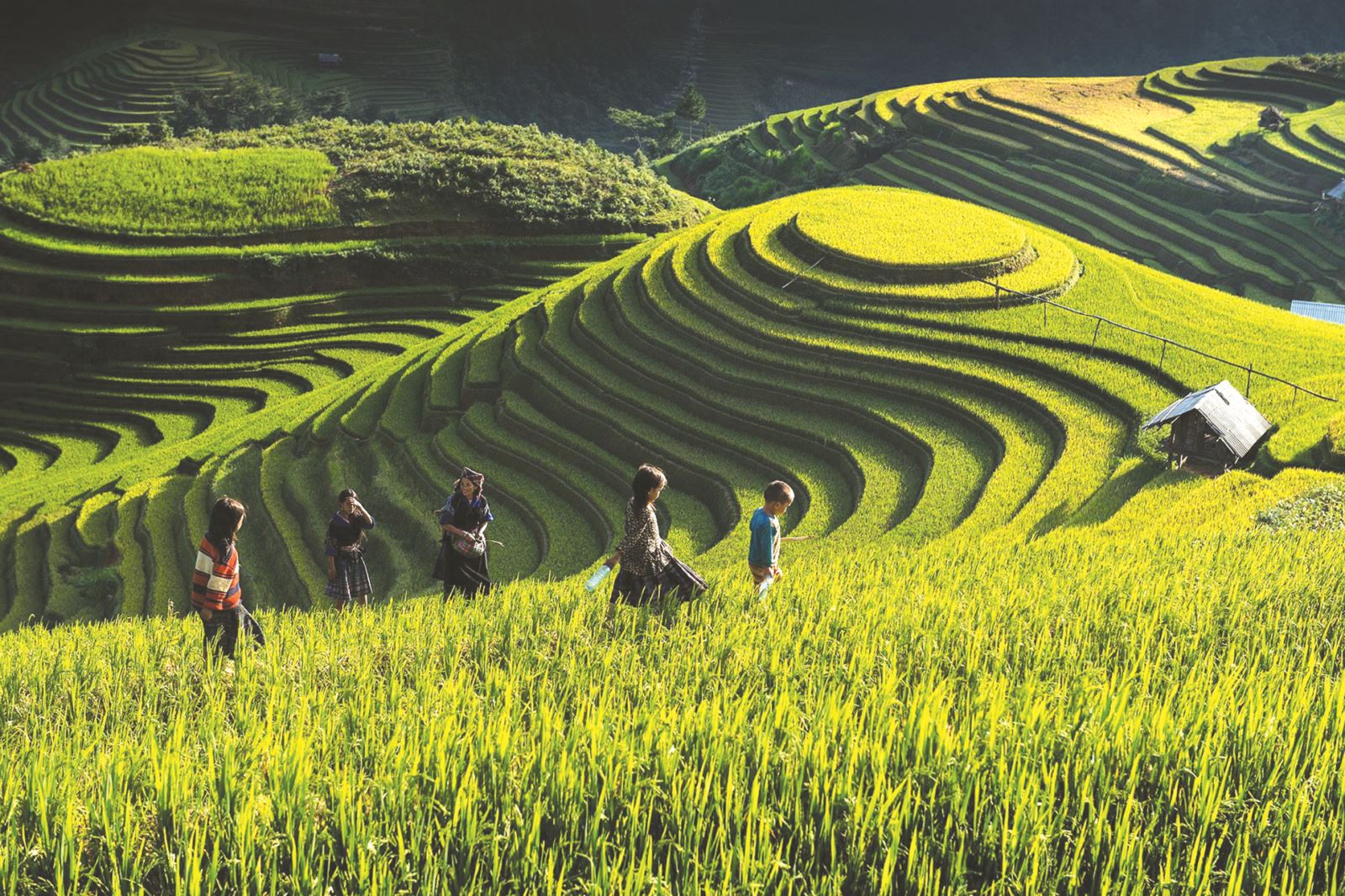 Mua vé máy bay giá rẻ toàn cầu đi du lịch Yên Bái