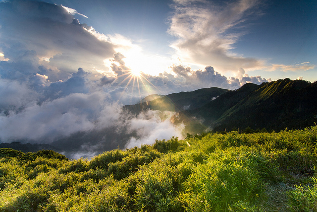 ve may bay di Dai Loan